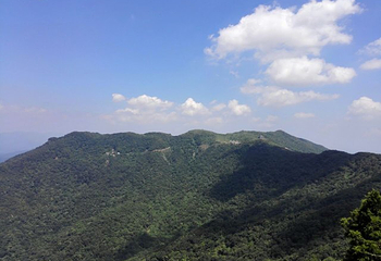 绿林山风景区第 62 张图片