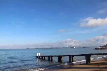 大树岛第 8 张图片