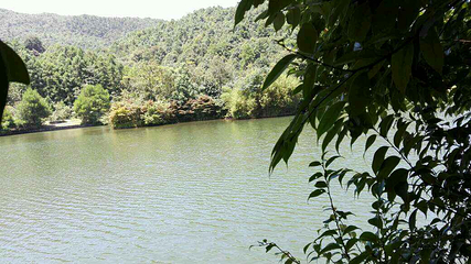 三百山景区第 15 张图片