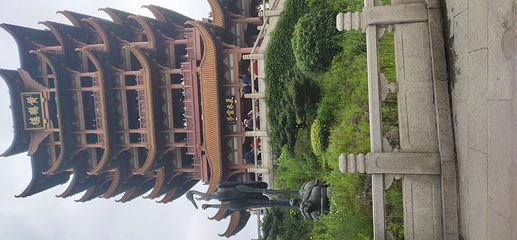 东湖游船第 49 张图片