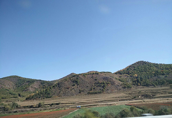 沙地植物园第 7 张图片