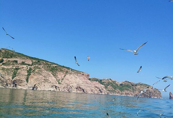 长岛海上游第 46 张图片