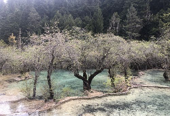 诺日朗餐厅第 23 张图片