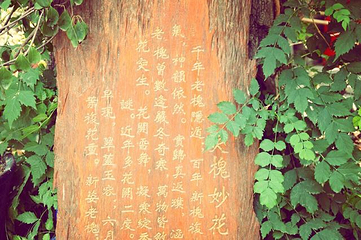 西安化觉巷清真大寺第 19 张图片