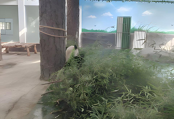 安吉竹博园第 137 张图片