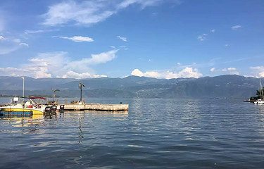 烟雨鹭洲湿地公园第 22 张图片