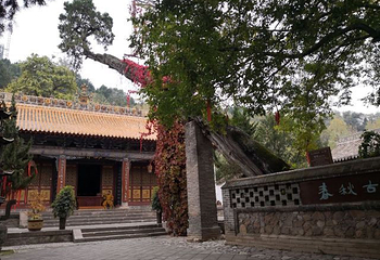 南郭寺第 18 张图片