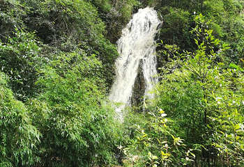 龙水峡地缝第 61 张图片