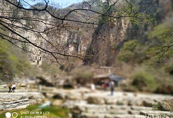蟒河生态旅游区第 60 张图片