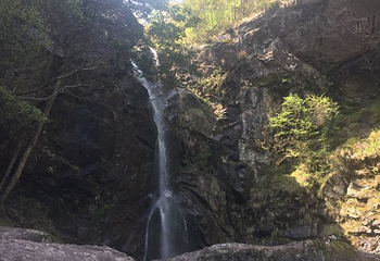 安吉龙王山风景区第 23 张图片
