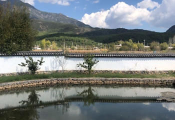 拉市海安中马场第 16 张图片