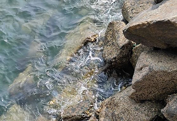 海昌渔人码头风景区第 76 张图片