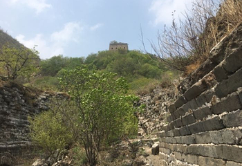 青山关第 46 张图片