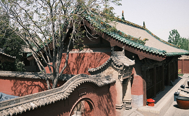 双林寺第 110 张图片