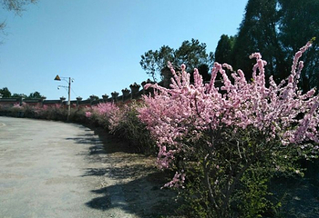 蒙山大佛第 62 张图片
