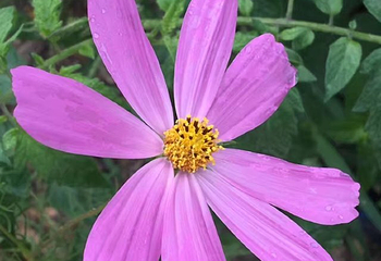 水磨沟第 16 张图片