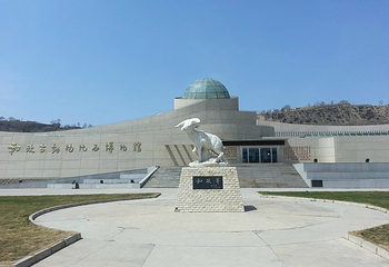 和政古生物化石文旅旅游区·古动物化石博物馆第 8 张图片
