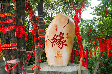观音山旅游风景区第 267 张图片