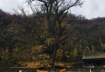 王屋山景区第 28 张图片