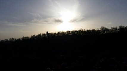 万花山第 19 张图片