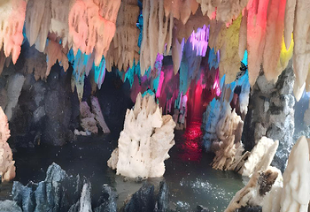 宝墨园第 164 张图片