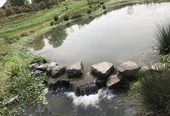 荻浦花海第 9 张图片