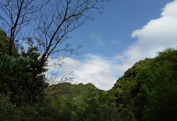 上青古道第 10 张图片