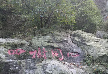 养子沟第 37 张图片