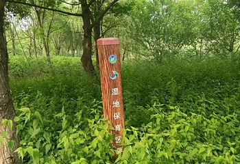 同里国家湿地公园第 15 张图片
