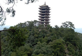 缙云山第 50 张图片