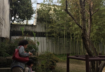 青藤书屋第 21 张图片