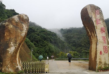 石祖禅茶园第 18 张图片