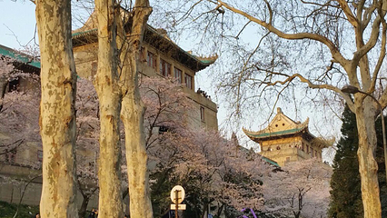 珞珈山第 16 张图片