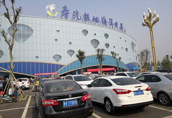 寿光极地海洋世界第 19 张图片