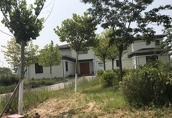 金沙岛第 35 张图片