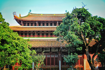 梅峰寺第 5 张图片