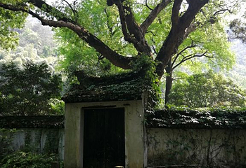 九峰公园第 25 张图片