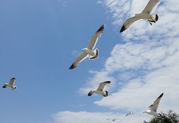 奥林匹克广场第 11 张图片