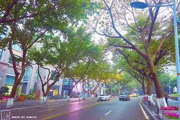 中山四路第 9 张图片