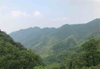 牛头山森林公园第 5 张图片