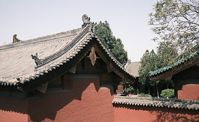 双林寺第 114 张图片