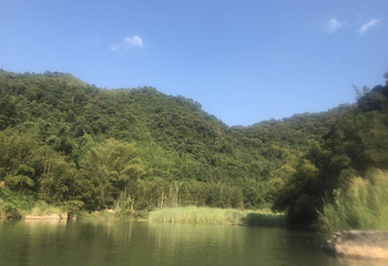 龙鲸河漂流第 22 张图片