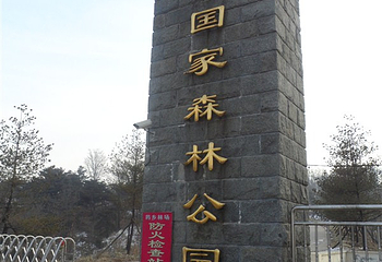 药乡国家森林公园第 6 张图片