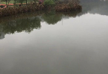清溪谷旅游区-花田酒地景区第 85 张图片