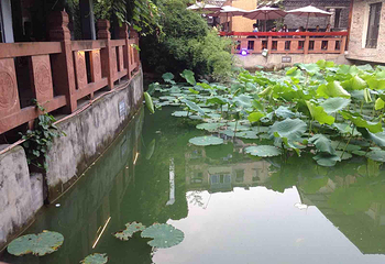 孔庙第 3 张图片