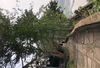 仙市古镇第 22 张图片