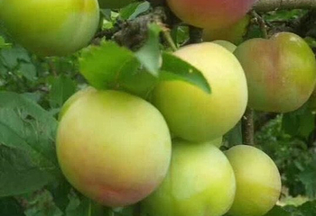 婺州公园第 3 张图片