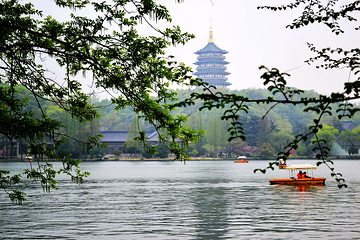西湖风景名胜区第 503 张图片