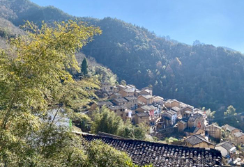 阳产土楼第 36 张图片