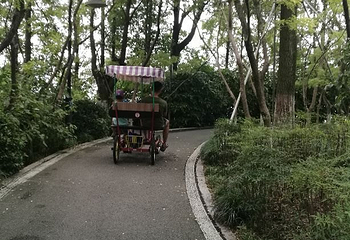 金鸡湖桃花岛第 22 张图片